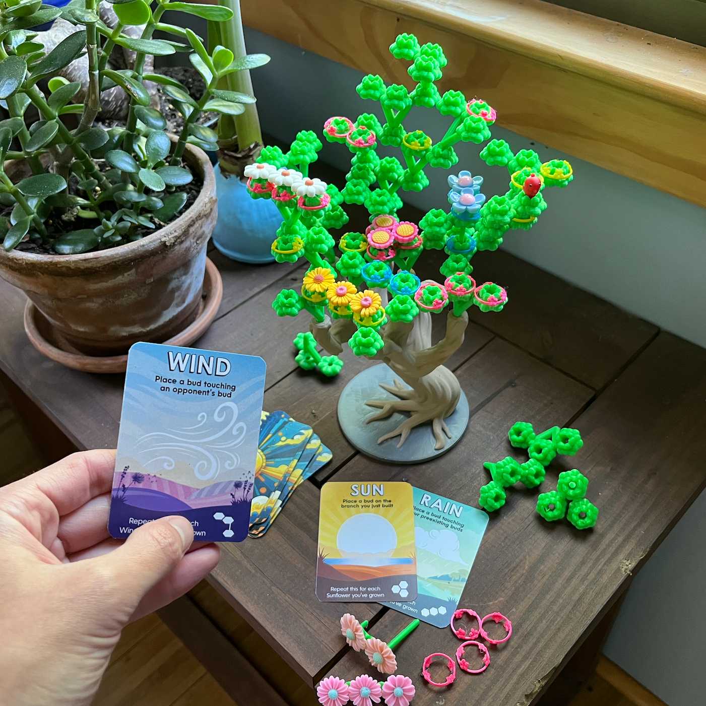 PRE-ORDER: Bloomchasers: Delightful 3D Tree Game of Flowers and Wits